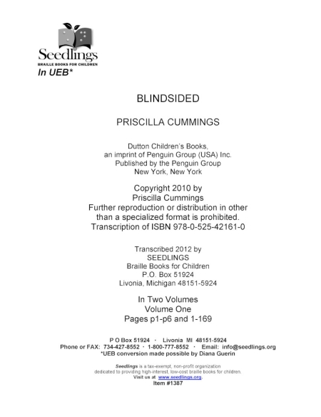 Cover image of Blindsided by Priscilla Cummings