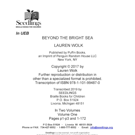 cover image of Beyond the Bright Sea by Lauren Wolk