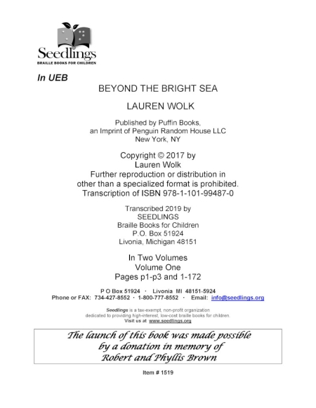 cover image of Beyond the Bright Sea by Lauren Wolk