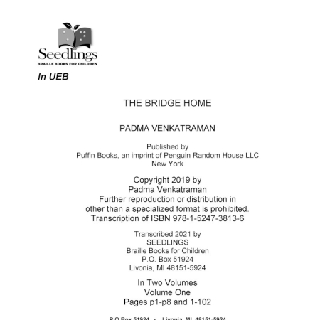 Cover image for The Bridge Home by Padma Venkatraman