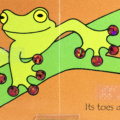 Interior spread with print and braille for That’s Not My Frog shows a green frog with red, tactile toes