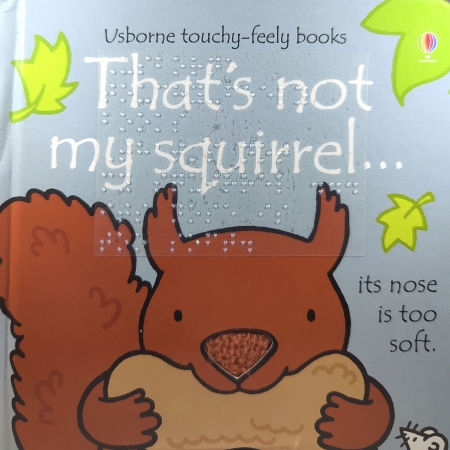 Cover of That's Not My Squirrel with print and braille with a grey background and a brown squirrel