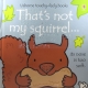 Cover of That's Not My Squirrel with print and braille with a grey background and a brown squirrel
