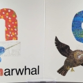 Interior spread with print and braille for The Very Hungry Caterpillar's ABC featuring n for narwhal and o for owl.