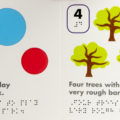 Inner spread for DK Braille Counting